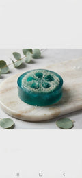 Eucalyptus Mint 2-in-1 Loofah Soap Bar | Eucalyptus & Peppermint